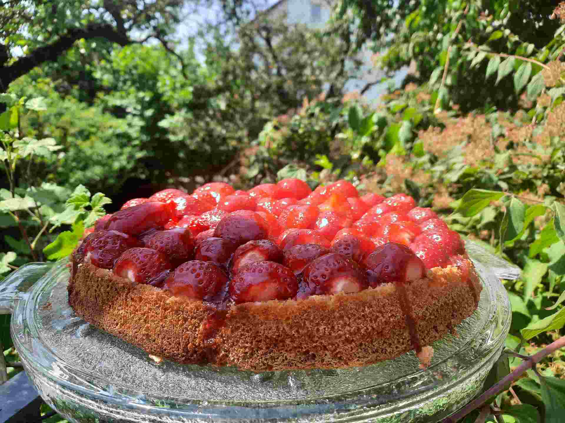 Ausflugstipp zum Erdbeerfeld – Darstadt